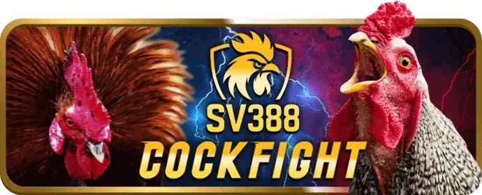 Khuyến mãi hấp dẫn tại i9bet41
